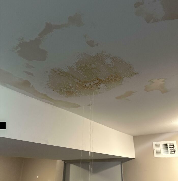 Came Home From Vacation To Find Our Fish Tank Leaked Into My Floor While We Were Gone