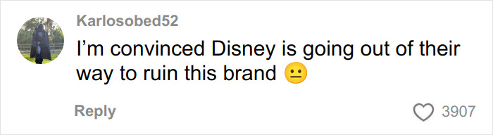 User comment on social media expressing frustration about Disney, related to Disneyland Evil Queen controversial firing topic.