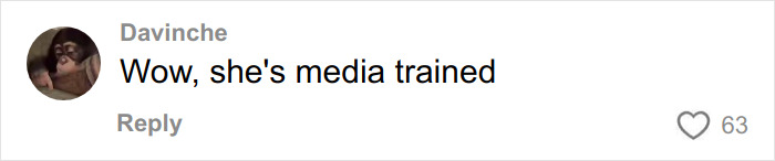 Comment from user Davinche praising media training in a social media reply about Disneyland Evil Queen controversy.