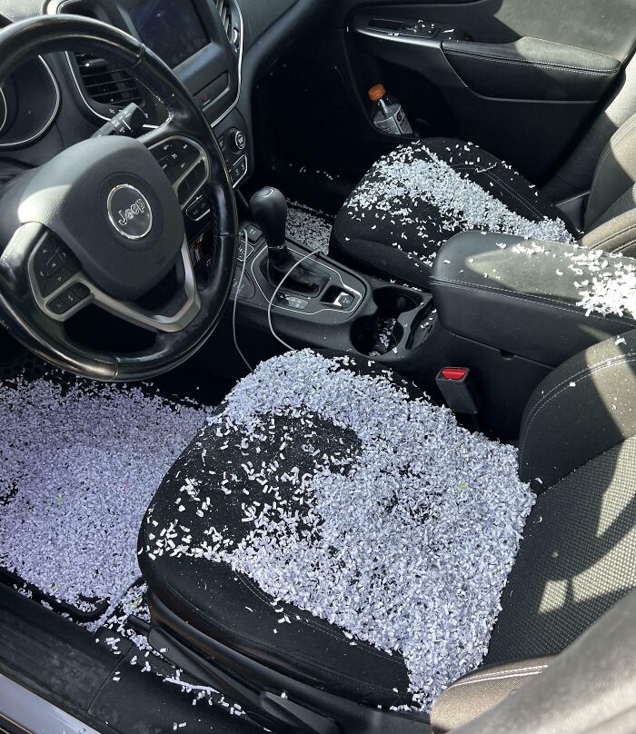 Car interior covered in shredded paper showing selfish and stupid behavior refusing to work with others.