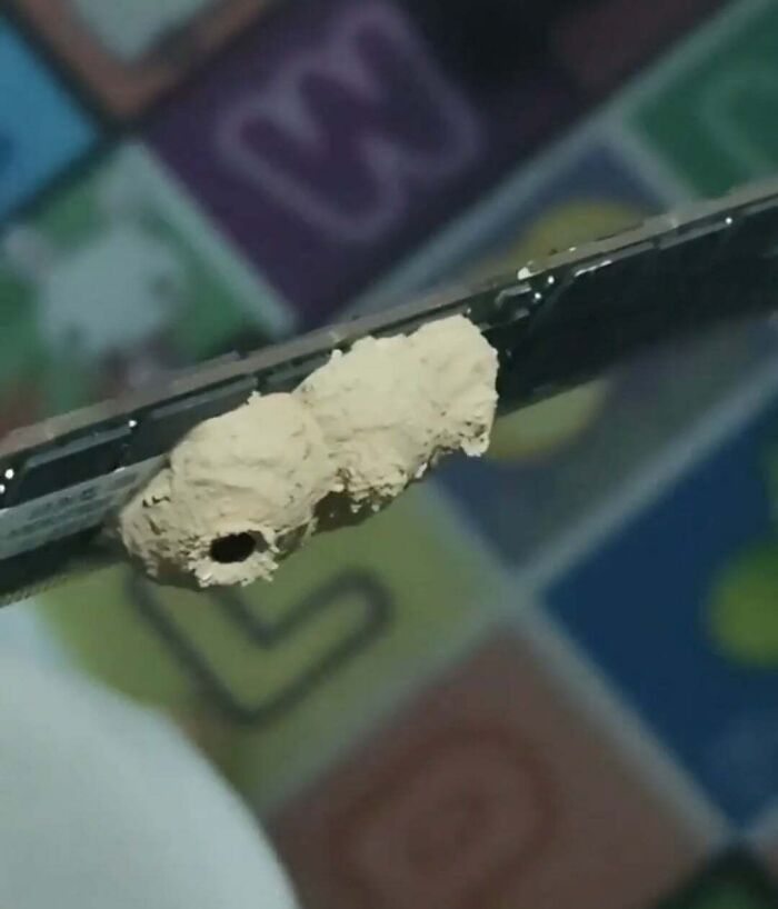Close-up of a tech device with mud wasp nests attached, illustrating unexpected challenges in tech support work.