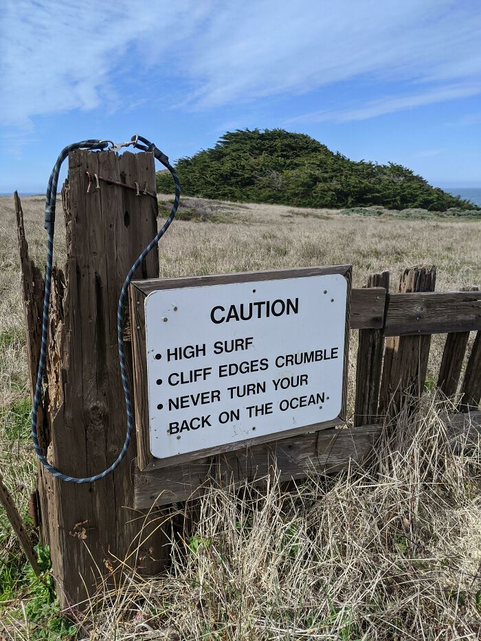 Caution sign warning of high surf and crumbling cliff edges near ocean in a wild, grassy coastal area.