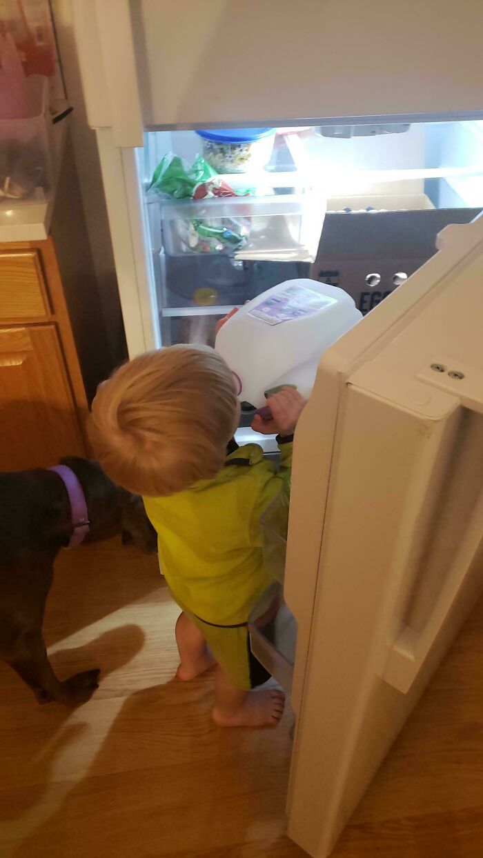 A funny photo of a great dad allowing his kid to drink milk straight from the gallon in the fridge.