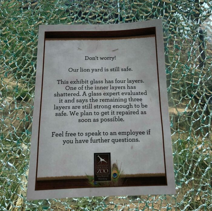 Sign on shattered zoo glass reassuring visitors about safety of lion yard enclosure and upcoming repairs, one of the scariest signs spotted.