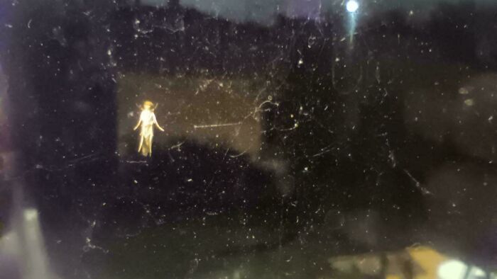 This Bug On The Outside Of My Window Looks Like A Fairy