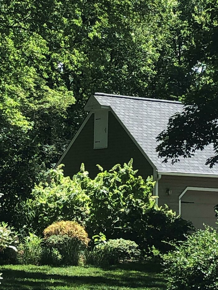 Small door on the exterior upper wall of a building that leads absolutely nowhere, showcasing architect fails.