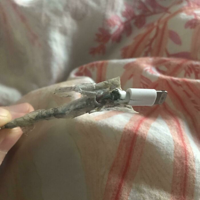 Frustrating habit photo showing a partner’s severely damaged phone charging cable held against a patterned blanket.
