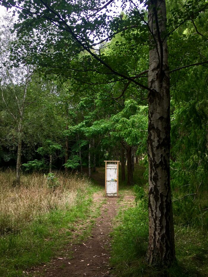 Door standing alone in forest with no walls, an example of architects failing and creating doors that lead nowhere.