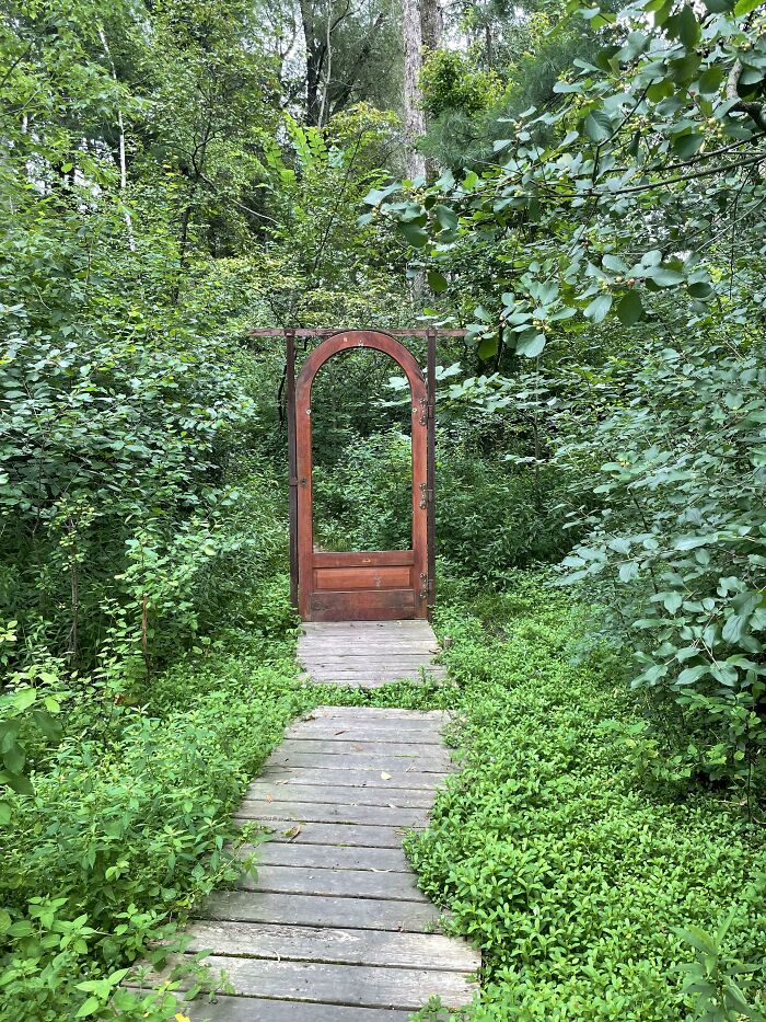 Wooden door standing alone in the middle of a forest with no walls, showing a clear example of architectural failure.
