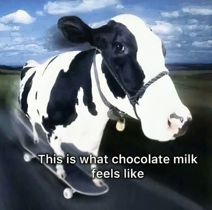 Cow riding a skateboard with text humor, a hilarious meme showcasing quirky and funny content for meme lovers.
