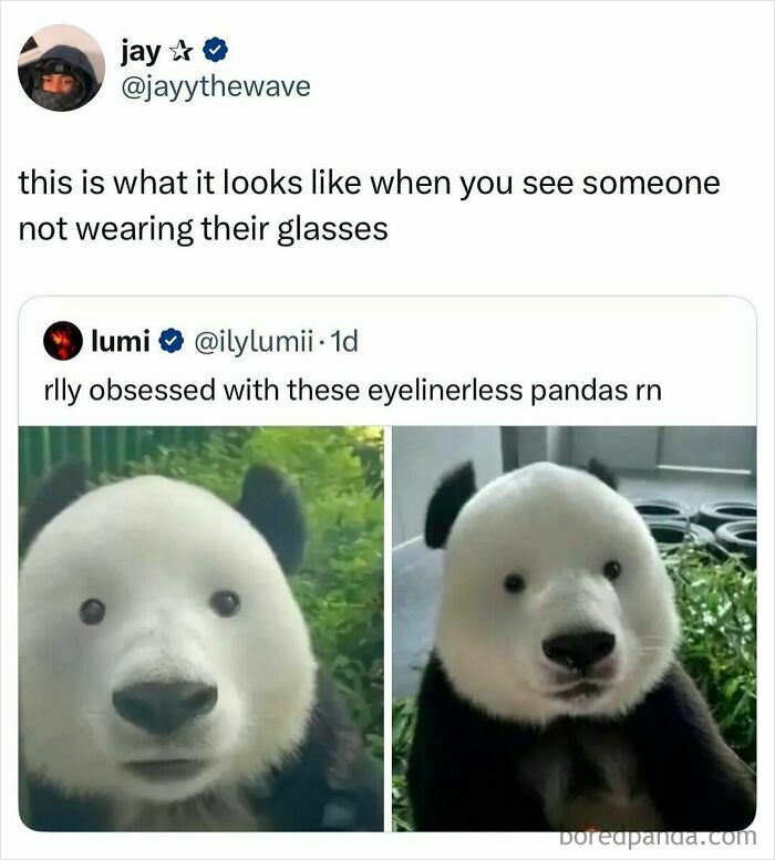 Meme showing eyelinerless pandas with funny caption about seeing someone not wearing their glasses in random memes.