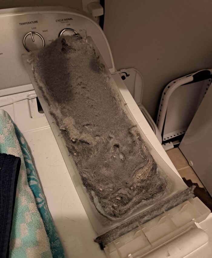 Dryer lint trap filled with excessive lint demonstrating one of the most frustrating partner habits shared by 57 people.