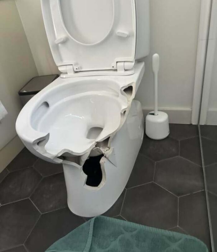 Toilet with large broken holes in the bowl and base, illustrating a partner's most frustrating habits shared by people.
