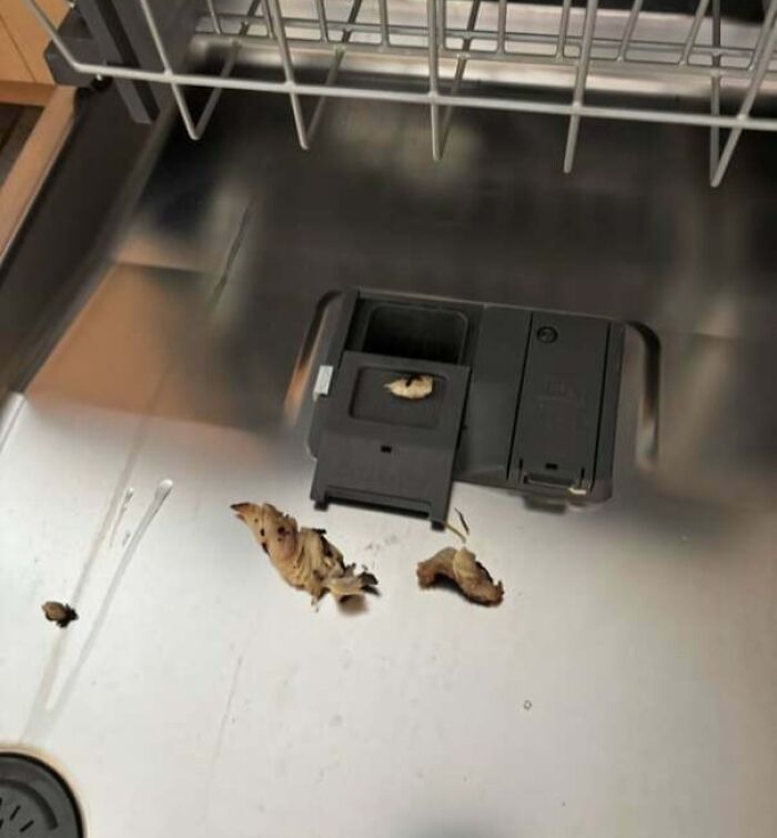 Dishwasher interior with food scraps left inside, demonstrating one of the most frustrating partner habits shared online.