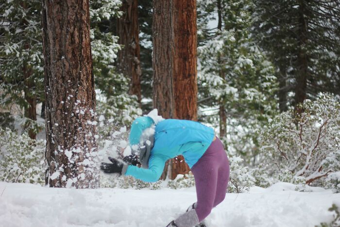 Person in blue jacket and purple pants hitting snow, capturing a fun unexpected photo moment in a snowy forest setting.