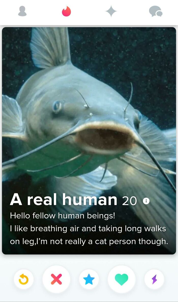 Tinder profile with a catfish image and humorous bio in the collection of Tinder profiles that went off the rails.