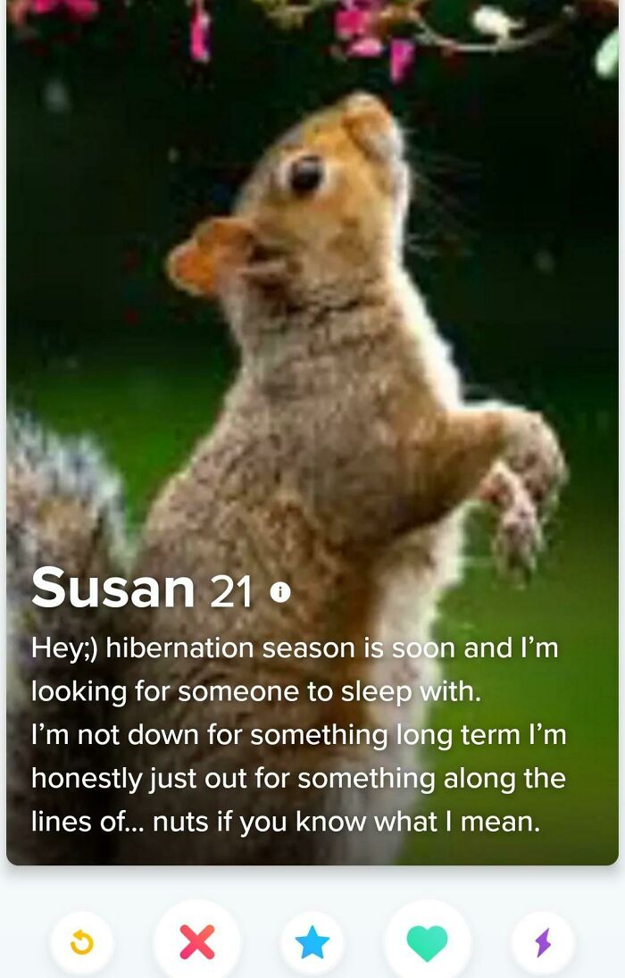 Squirrel profile on Tinder with humorous bio about hibernation season and looking for casual connection.