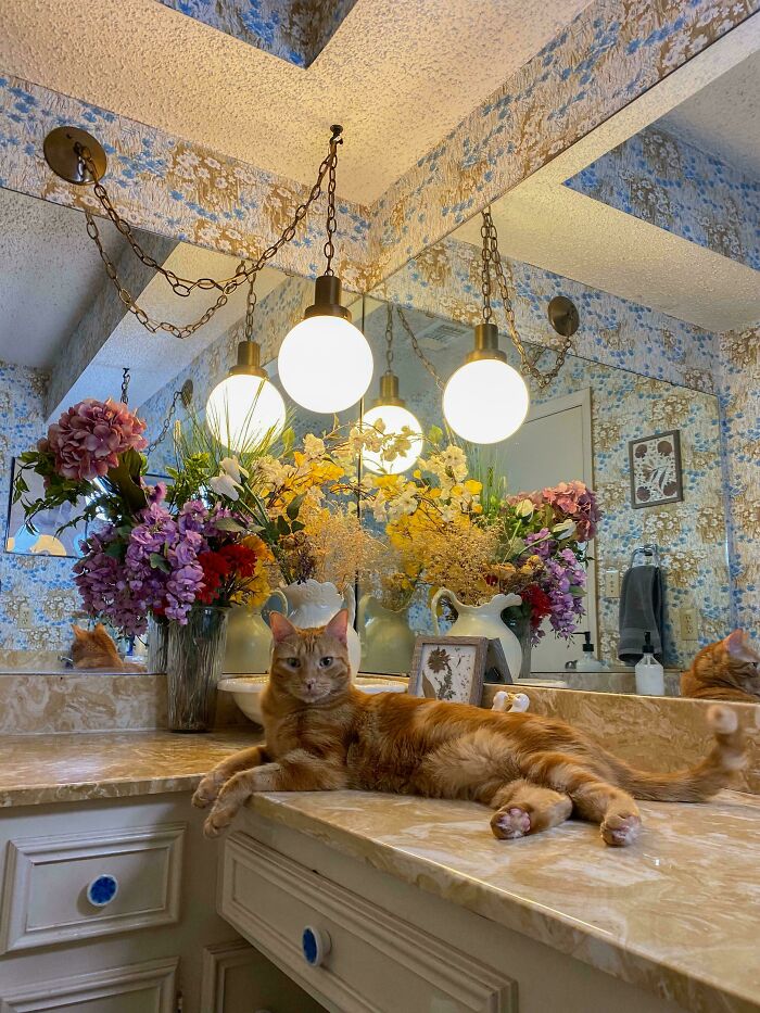 Bathroom decorated with vibrant flowers, patterned wallpaper, and a relaxed orange cat on the marble countertop, embracing more is more home decor.