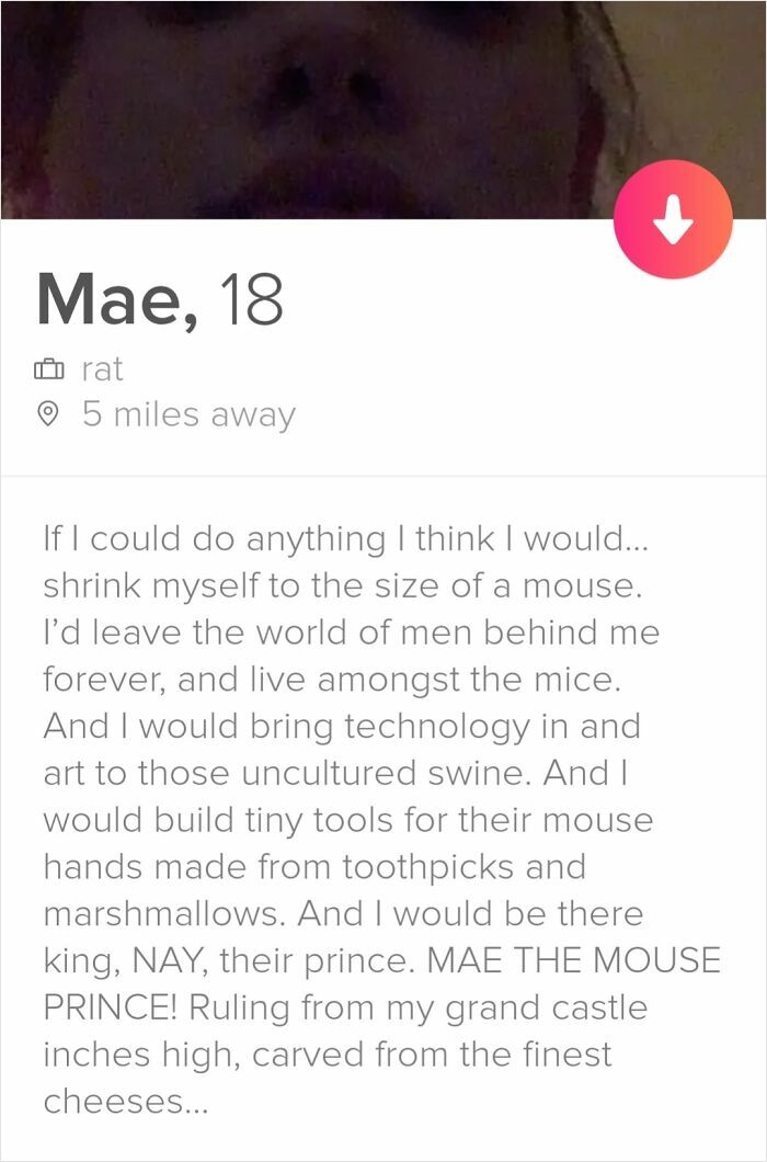 Tinder profile of Mae, 18, with a creative and unusual bio about shrinking and living among mice on Tinder profiles off the rails.