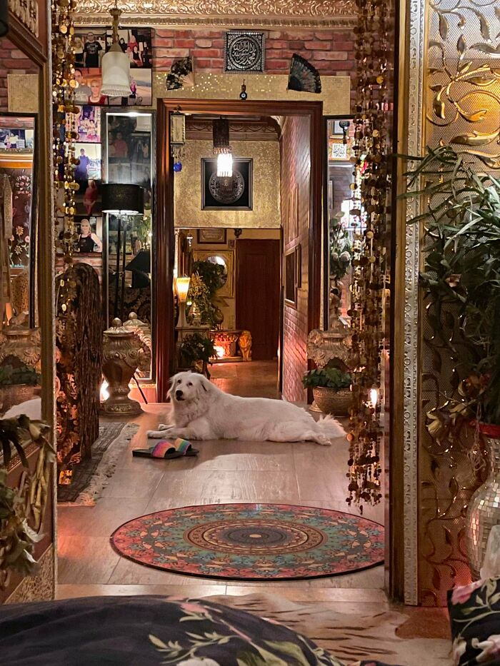 Eclectic home interior with ornate details, vibrant decor, and a white dog lying on the floor embracing more is more style.