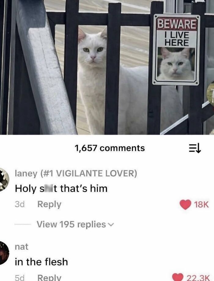 White cat behind a gate next to a beware sign with a cat photo, featured on a cats with serious swag Instagram page.