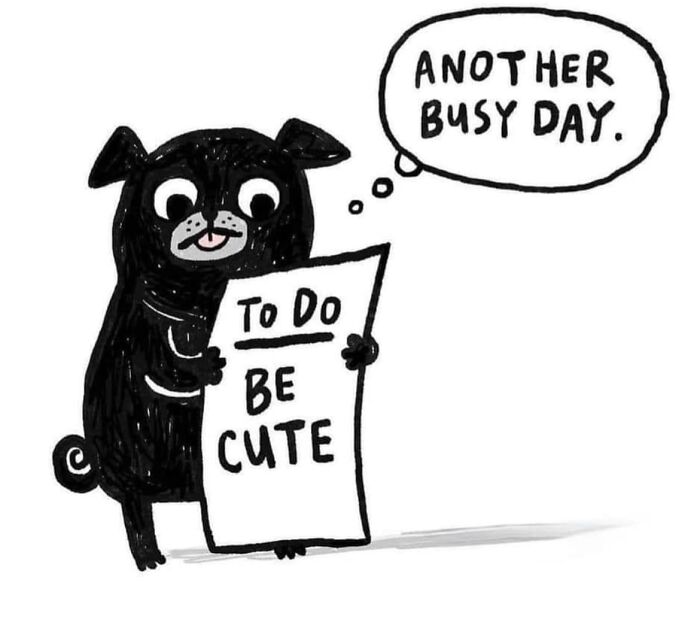 Illustration of a black pug holding a to-do list that says be cute, reflecting pug owners' daily life humor.