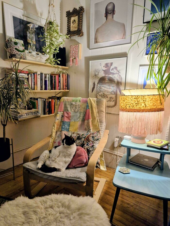 Cozy home corner embracing more is more style with vibrant decor, plants, artwork, and a cat lounging on a chair.