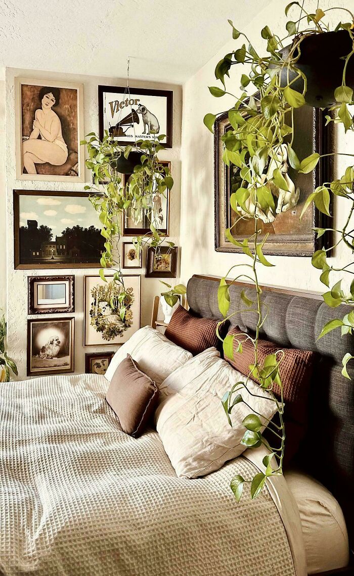 Cozy bedroom with abundant pillows, hanging plants, and an eclectic gallery wall showcasing a more is more home decor style.
