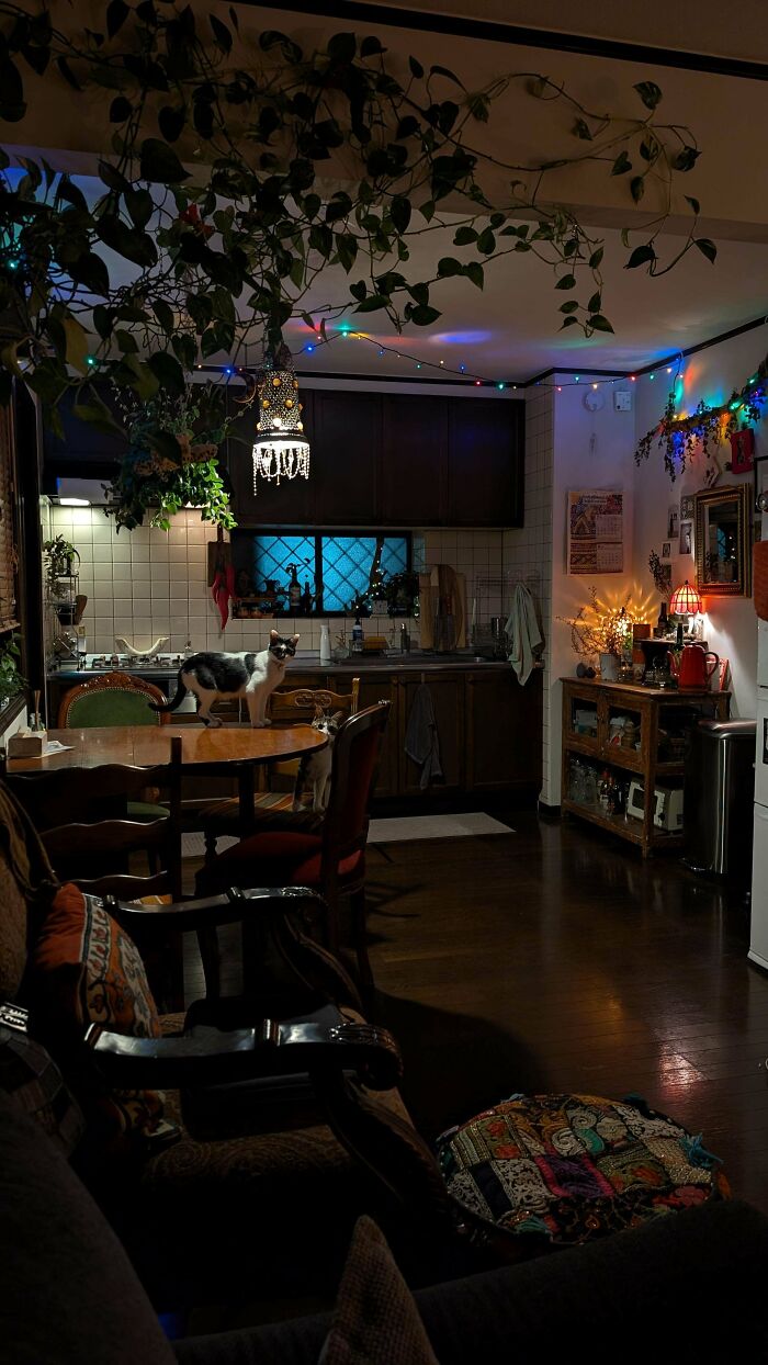 Cozy eclectic home decked out with plants, colorful string lights, vintage furniture, and cozy decor embracing more is more style.