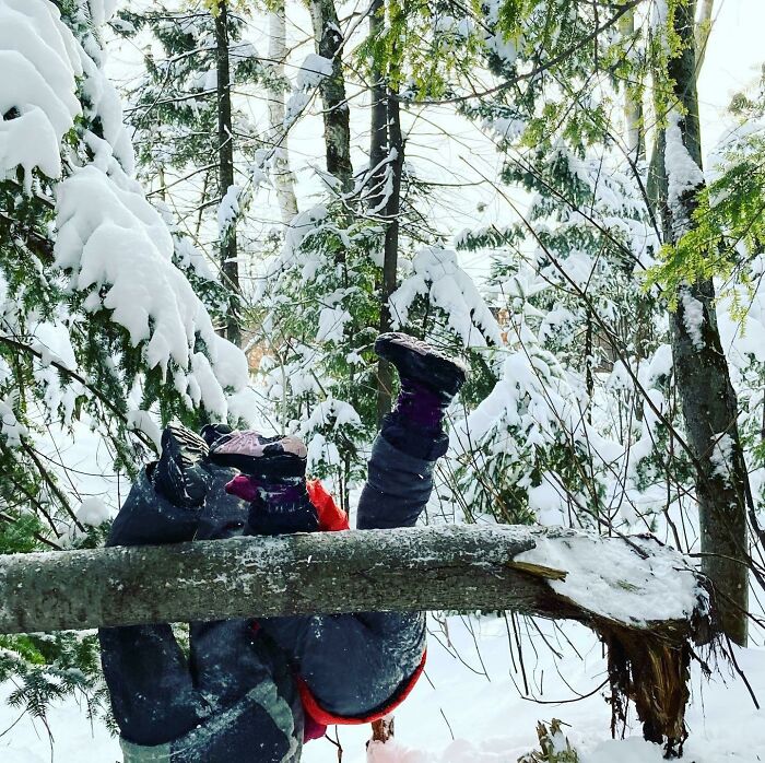 Funny photo of person caught upside down under fallen tree in snowy forest, showing humor in outdoor winter moments.