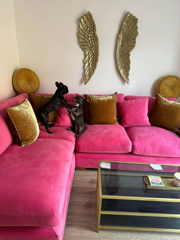 Bright pink sectional sofa with gold pillows and wall wings, two dogs playing, showcasing more is more home decor style.
