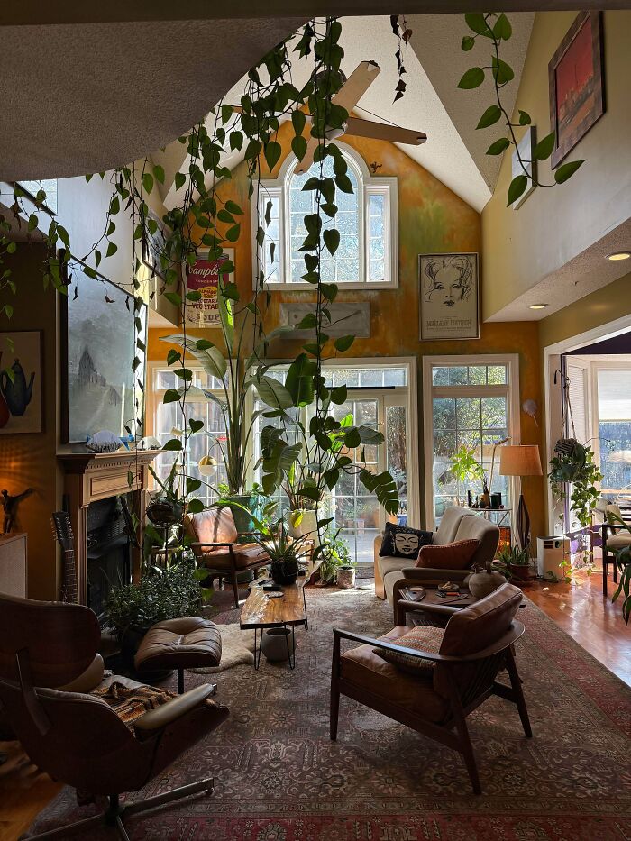 Eclectic living room with abundant plants, vintage furniture, and layered decor embracing the more is more home style.
