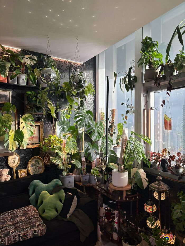 Indoor plant-filled living room with abundant green foliage and eclectic decor embracing more is more home style.