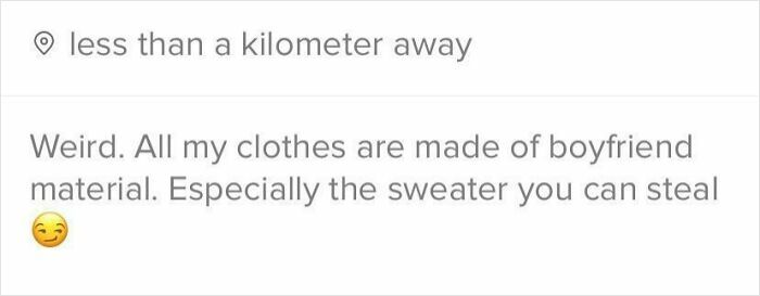 Screenshot of a Tinder profile with a playful bio about clothes made of boyfriend material and a stealable sweater.