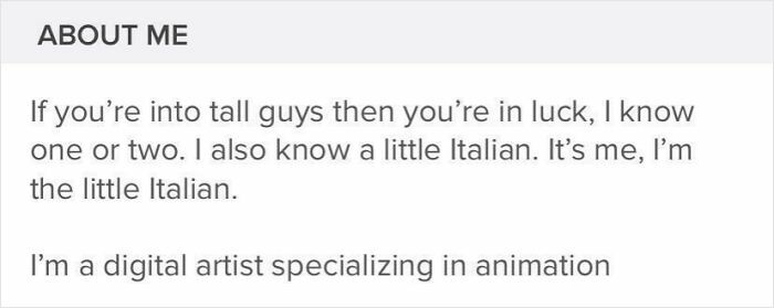 Tinder profile bio sharing quirky personal details and digital artist skills, showcasing off the rails Tinder profiles.