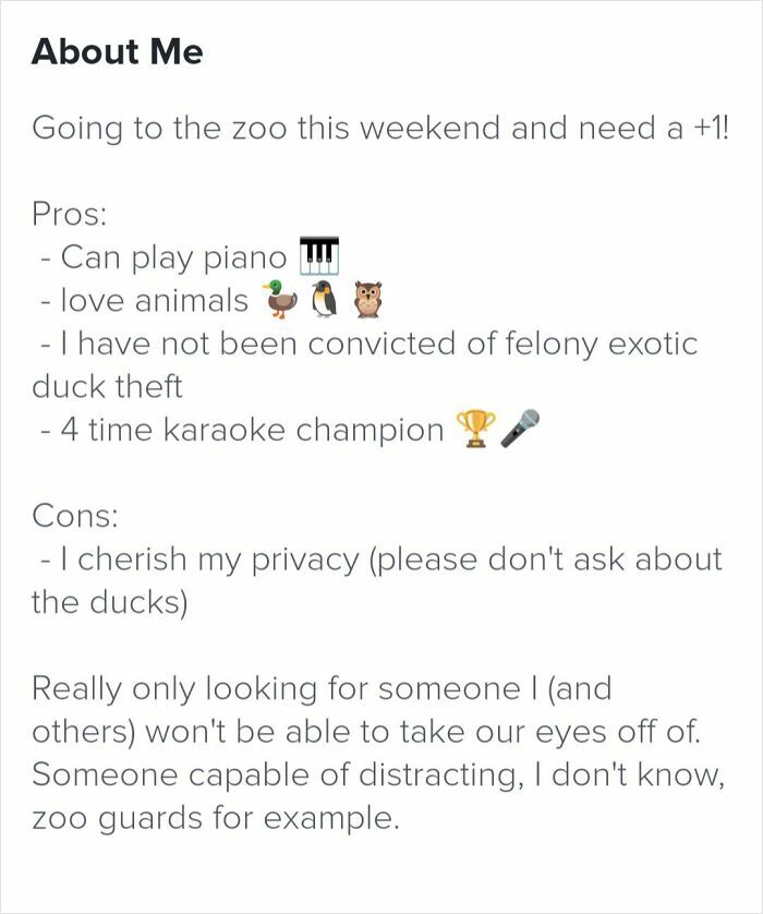 Tinder profile listing unusual pros and cons with humor, including piano skills, love of animals, and duck theft joke.