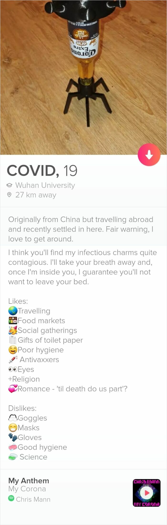 Tinder profile parody with humor referencing COVID, travel, hygiene, and romance alongside a beer bottle spider stand.
