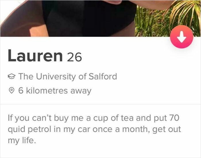 Tinder profile of Lauren, 26, showing a bold bio demanding tea and petrol, part of off the rails Tinder profiles.