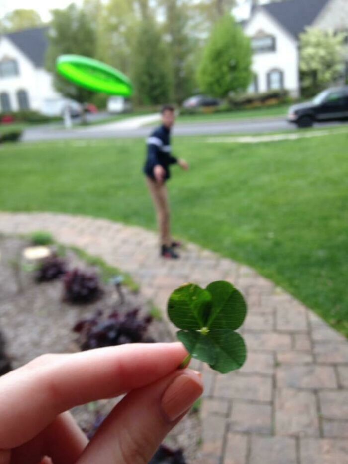Hand holding a four-leaf clover in focus while a person in the background appears to be throwing a frisbee by accident in a photo.