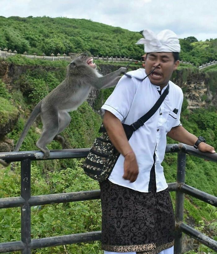Man surprised as a monkey unexpectedly grabs his glasses, a funny moment captured in an unexpected photo.