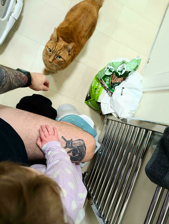 A goofy photo showing what it means to be a great dad, a baby touching a dad's leg with a cat nearby.