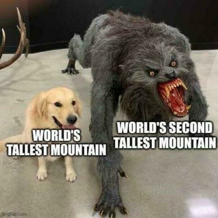 A meme comparing a cute golden retriever to the world's tallest mountain and a terrifying werewolf to the world's second tallest mountain, explaining the joke.