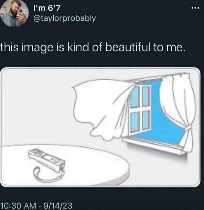 A meme with a Wii remote on a table with a cartoon background of wind blowing through a window, explaining the joke.