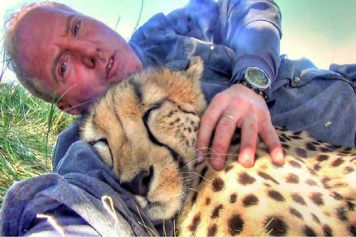 Amazing photo of a man and a cheetah sharing a tender moment, highlighting the beauty of animal connection.