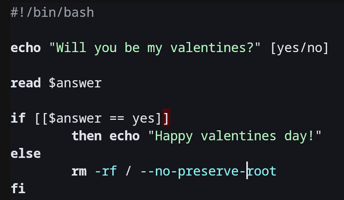 Bash script snippet showing a humorous yes/no prompt illustrating debugging programming memes struggle.