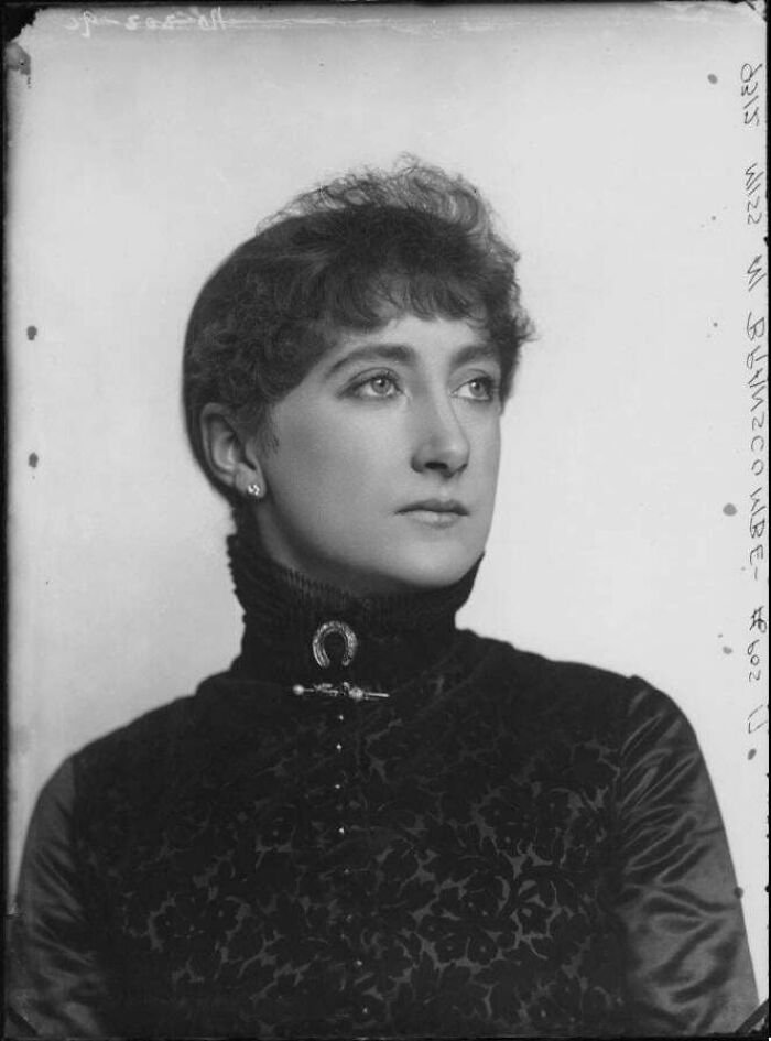 Victorian era portrait of a woman in high-collared dark dress with intricate fabric pattern and brooch accessory.