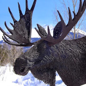 thomasrobinson_2 avatar