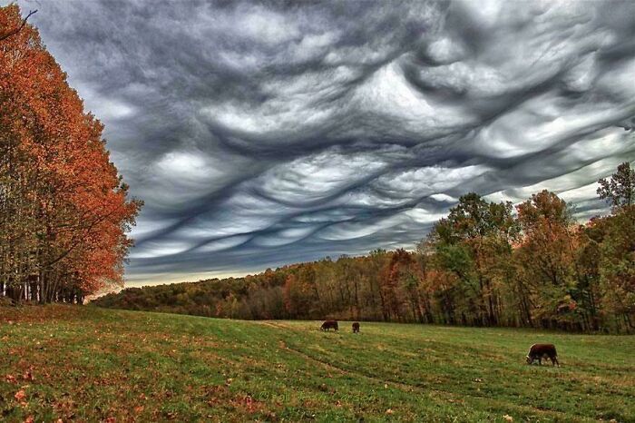 This Cloud Formation