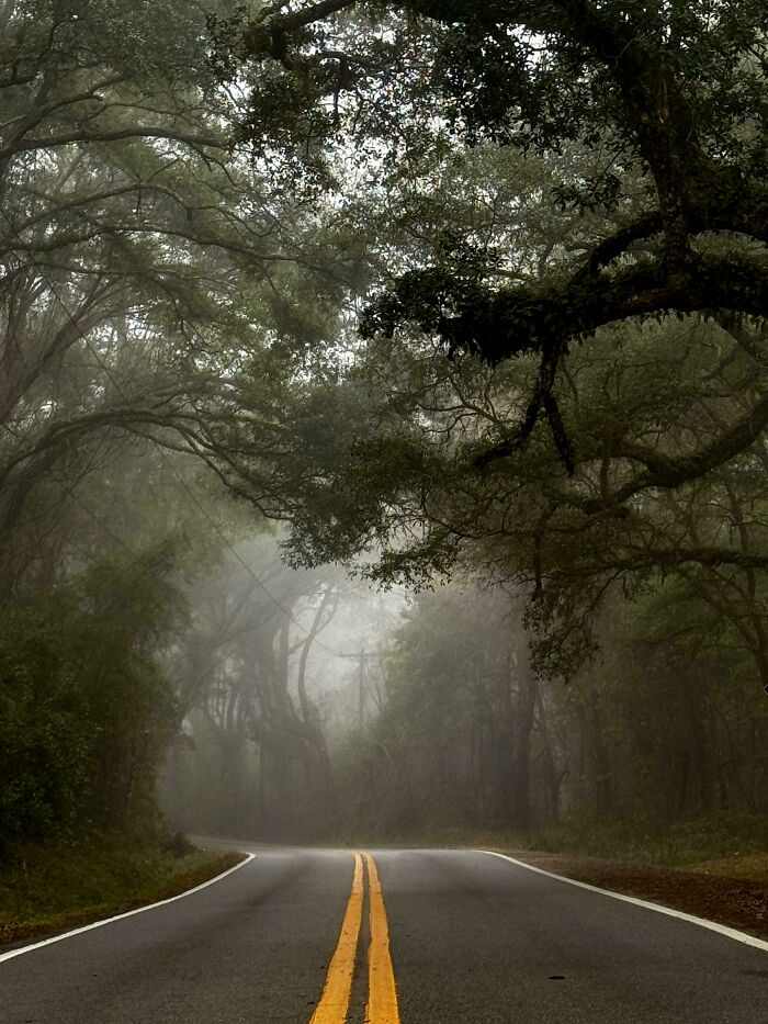 The Road Near My House