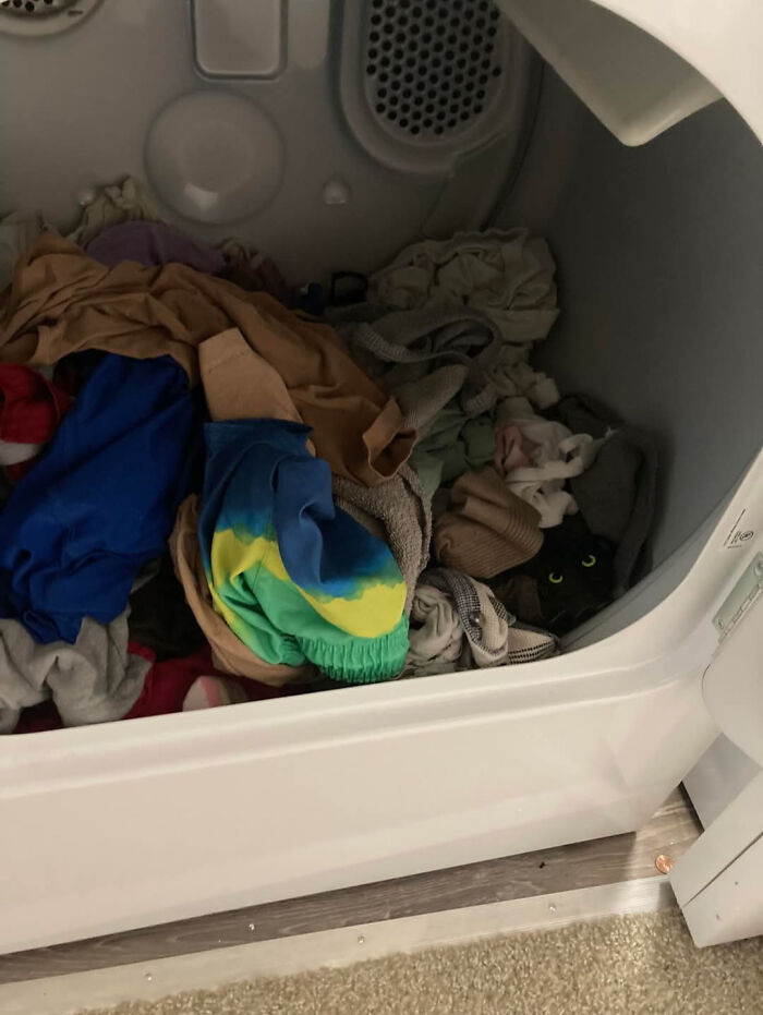 Black cat hiding among clothes inside a dryer, creating a misleading and confusing photo that seems like a glitch in real life.